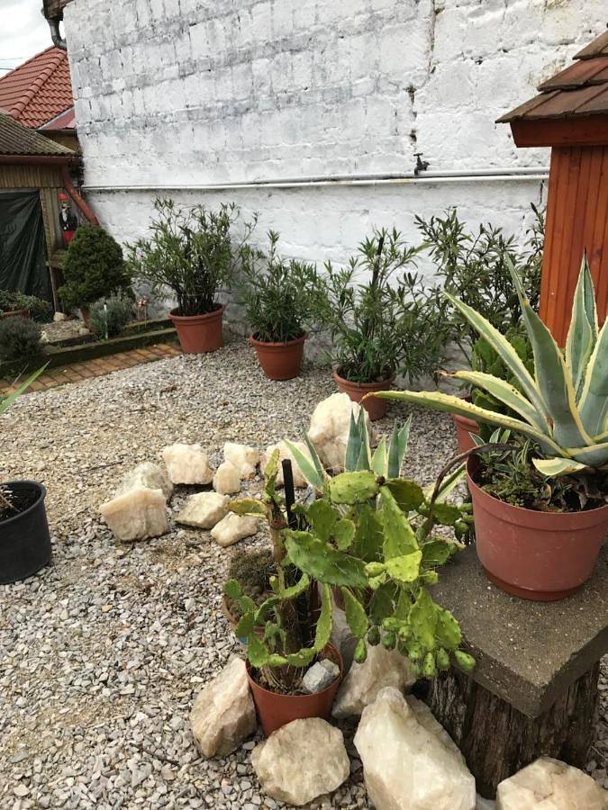 Gîte pour 2 personnes, avec jardin, animaux acceptés à Eger - 2