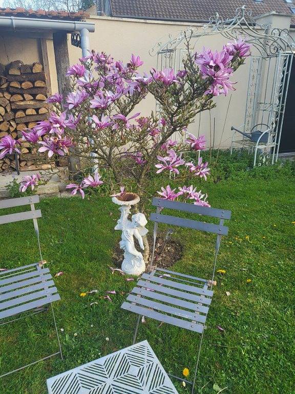 Halte aux 3 Brins d'herbe - Chambre les Anges in Nièvre