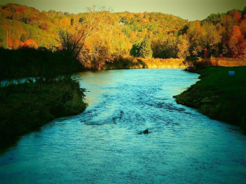 Four abgelegenen Acker - Authentische Hand behauenen Log Cabin - South Fork New River in Blue Ridge Parkway, Ashe County