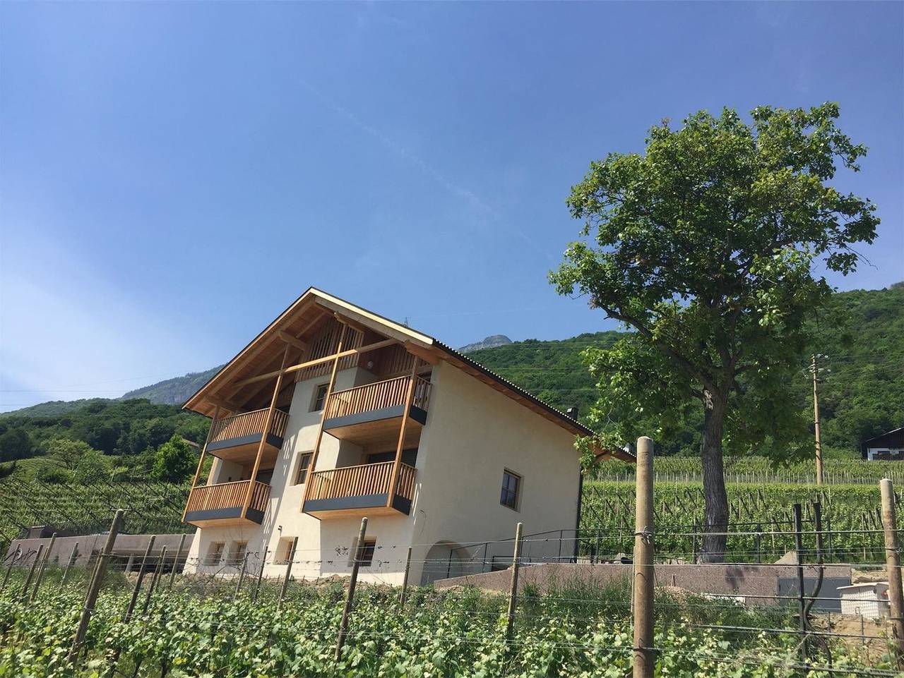 Ganze Wohnung, Aromis Apartments - Thymus in Söll (Tramin), Tramin an der Weinstraße