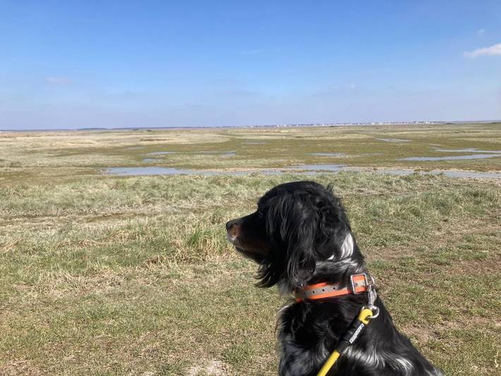 Location de vacances pour 9 personnes, avec jardin, adapté aux familles à Pendé (Somme) - 3