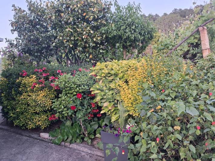 Location de vacances pour 6 personnes, avec jardin et vue dans Santa Marinha do Zêzere - 4