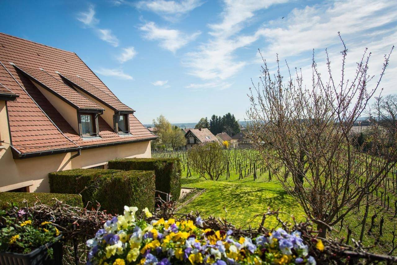 Hôtel Saint Hubert - Colmar Sud in Eguisheim, Parc naturel régional des Ballons des Vosges