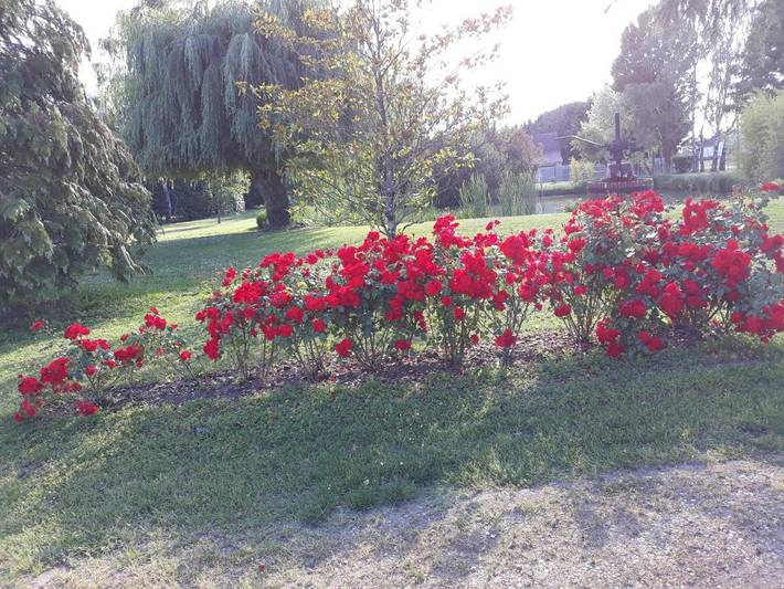 Location de vacances pour 4 personnes, avec jardin dans Le Controis-en-Sologne - 4