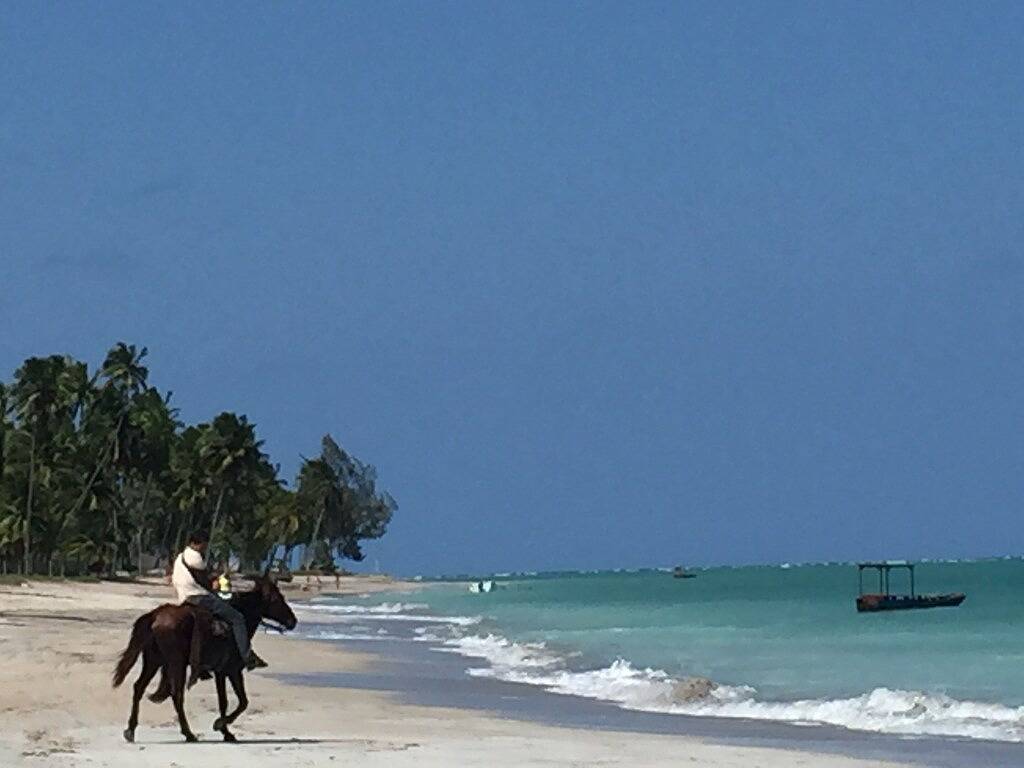 Ihr wunderschönes Strandhaus in der brasilianischen Karibik! in Maragogi, Alagoas