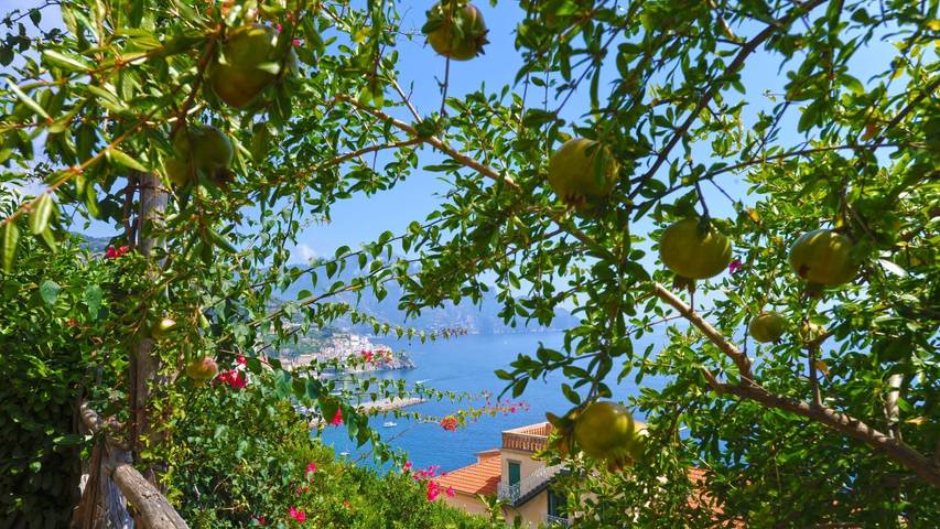 Gîte pour 4 personnes, avec jardin et terrasse à Amalfi - 4