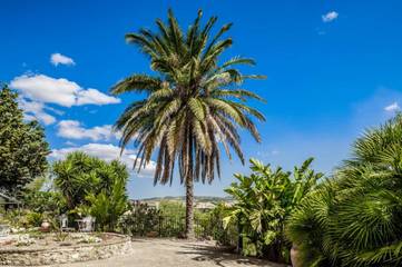 Maison de campagne pour 4 personnes, avec jardin et vue à Racalmuto