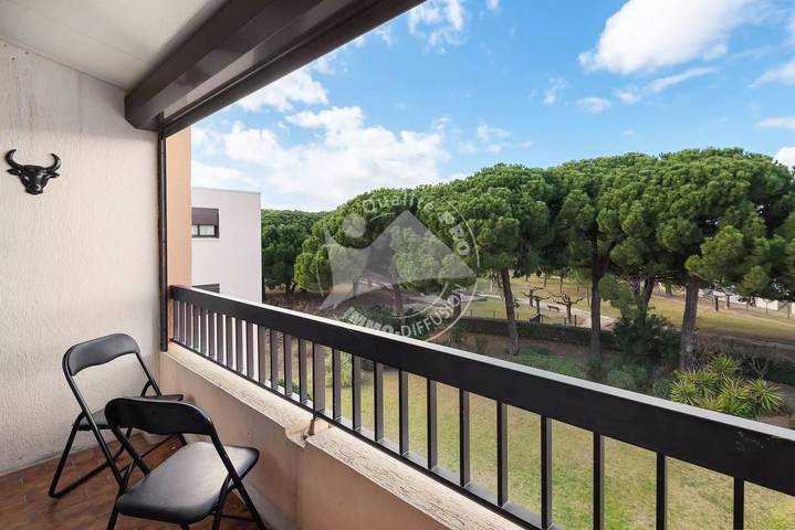 Studio pour 5 personnes, animaux acceptés en Camargue