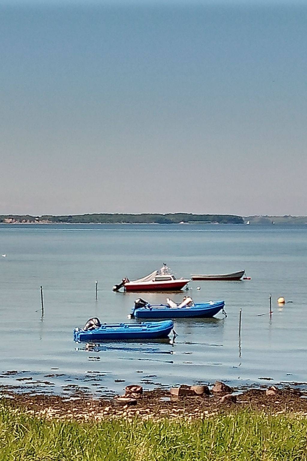 Ganze Wohnung, Ambiente in Westerholz, Schleswig-Flensburg
