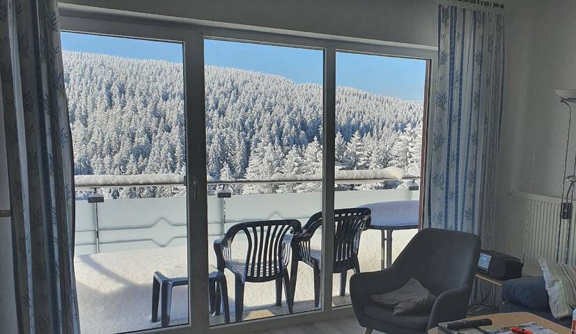 Ferienwohnung für 5 Personen, mit Balkon, kinderfreundlich im Thüringer Wald - 2