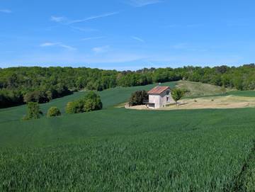 Gîte pour 6 Personnes dans Montignac-le-Coq, Charente, Photo 2