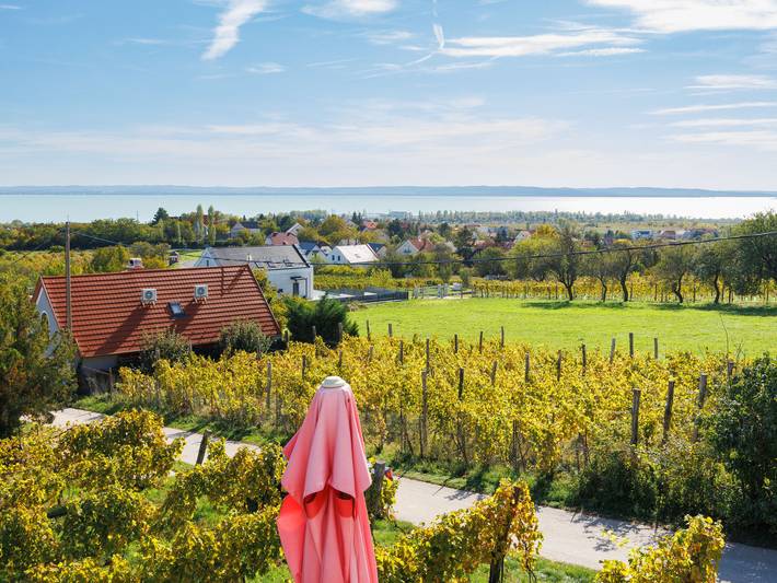 Ferienhaus für 4 Personen, mit Terrasse und Seeblick sowie Garten in Plattensee Ostufer - 2