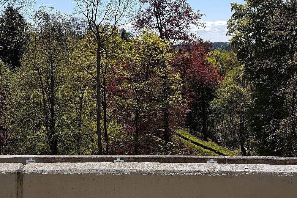 Ganze Wohnung, Harz-Urlaub in der Ferienwohnung Koch 3 in Sankt Andreasberg, Braunlage
