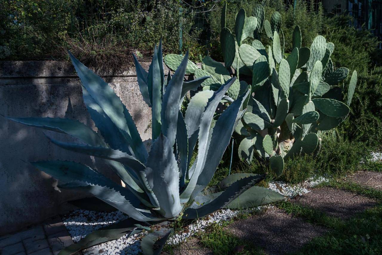 Alice nel Paese delle Meraviglie in Gavardo, Prealpi Gardesane