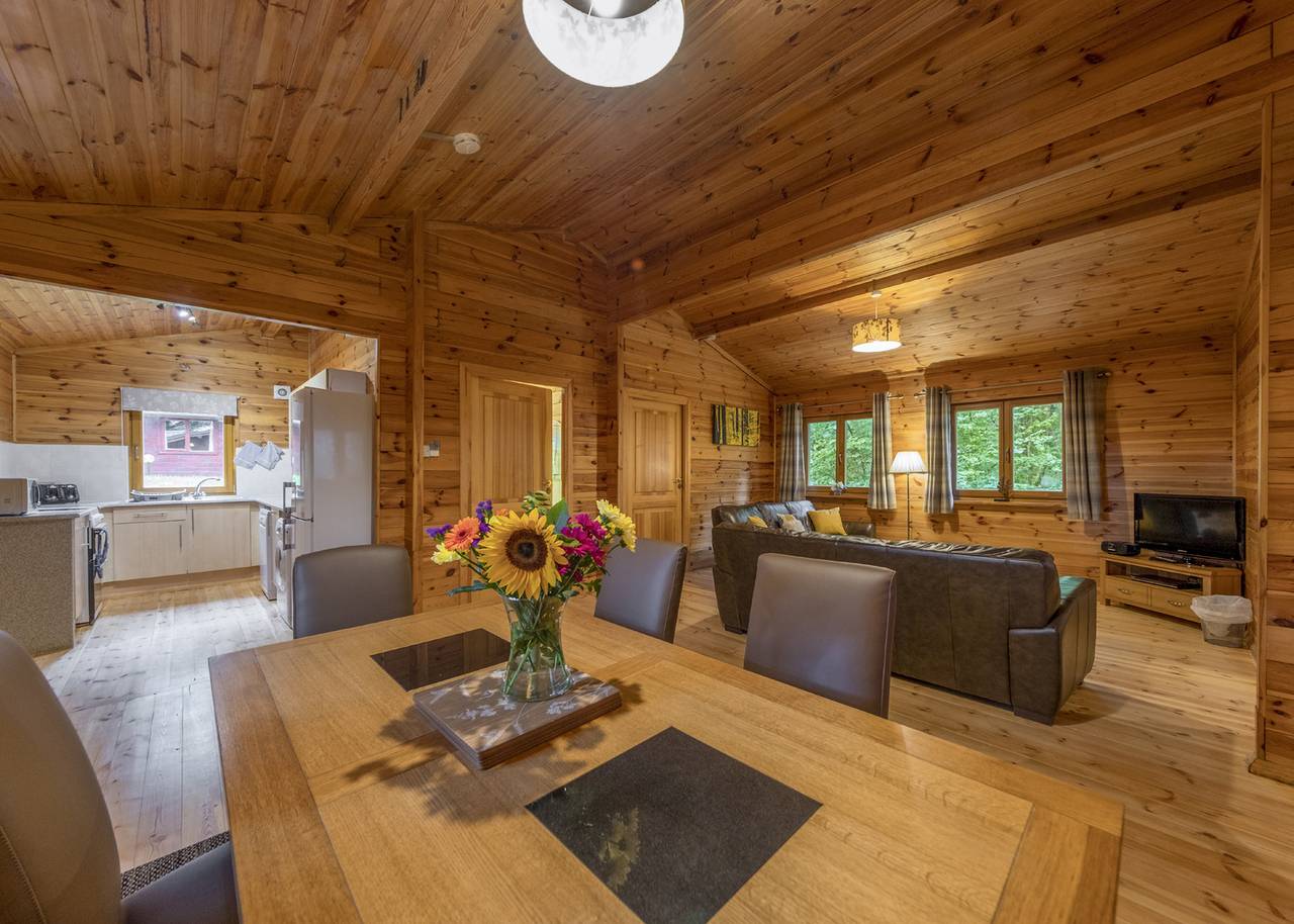 Woodland Birch Lodge in Shropshire