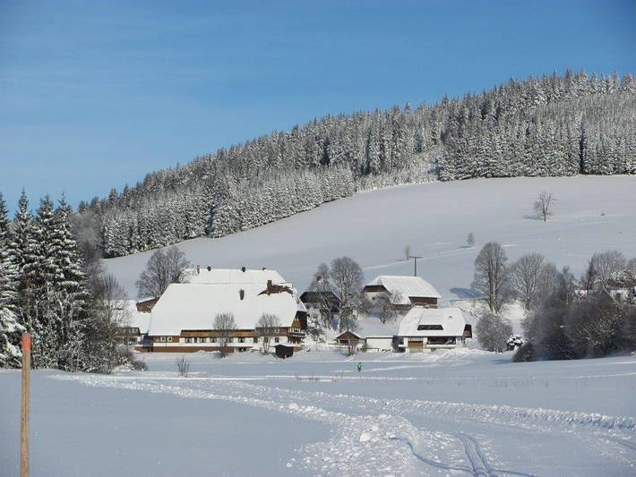 Ganze Ferienwohnung, Unterhöfenhof - Ferienwohnung "Eichhörnchen", 70qm, 2 Schlafzimmer, max. 4 Personen in Jostal (Titisee-Neustadt), Titisee-Neustadt