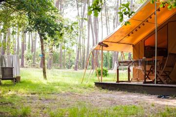 Chambre d’hôte pour 5 personnes, avec vue et jardin, animaux acceptés à Saint-Julien-en-Born