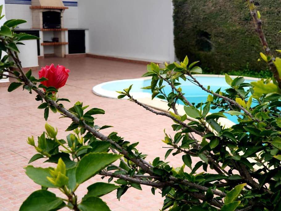 Lovely Beach House moradia V4 com piscina in Altura, Distrito de Faro