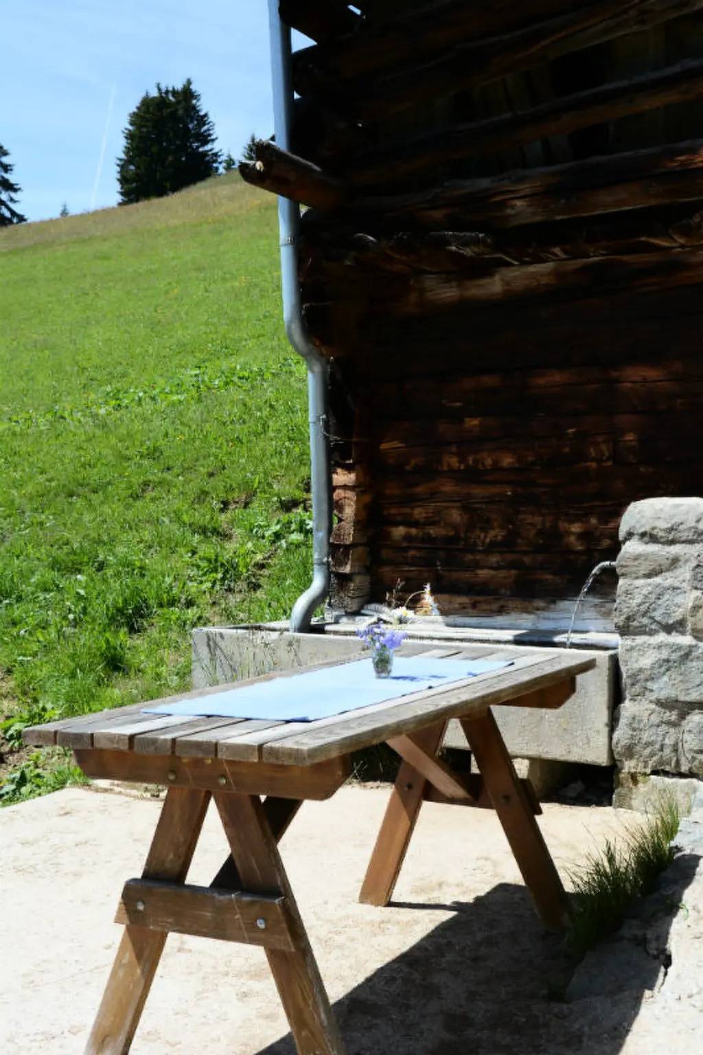 Ganze Wohnung, 3 Pièces 6 Personnes in Brigels, Alpenarena