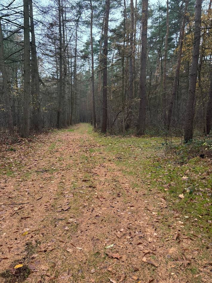 Ferienwohnung für 2 Personen, mit Garten in Neustadt am Rübenberge - 4