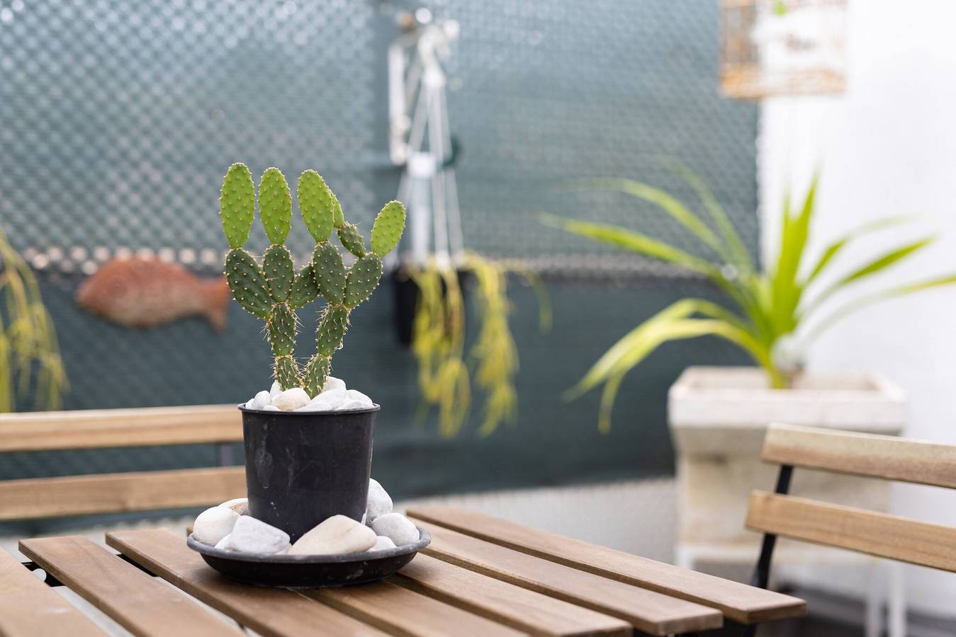 Live Puertito Neptune Beach in Puertito de Güímar, Güímar