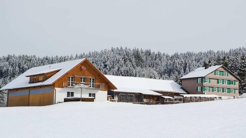 Ferienhaus für 5 Personen, mit Garten und Terrasse in Kanton Schwyz