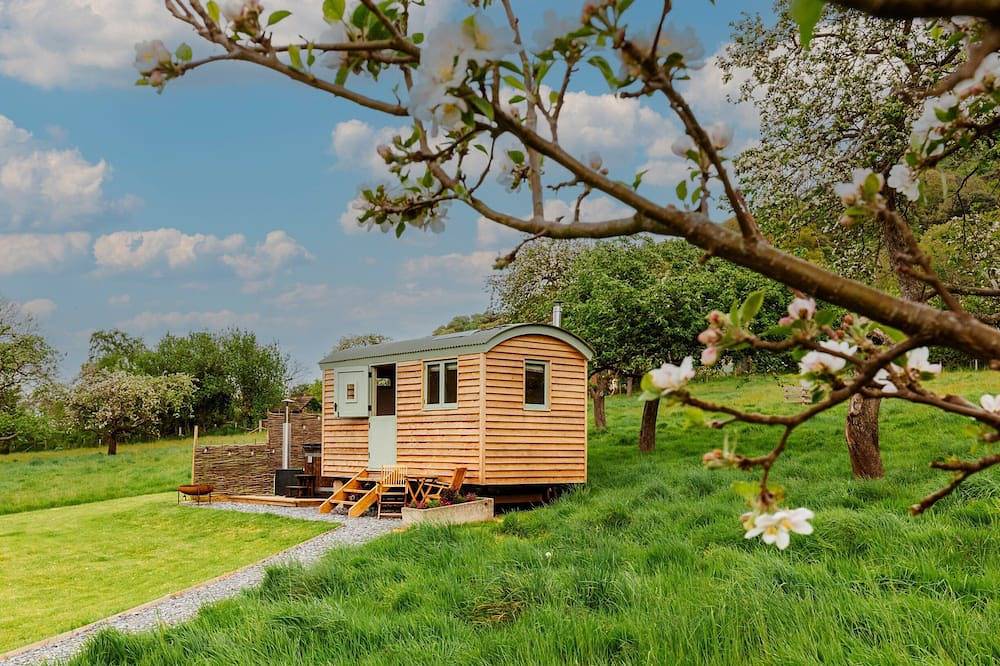 Entire apartment, Bramley Hut near Allerford in Selworthy, Somerset