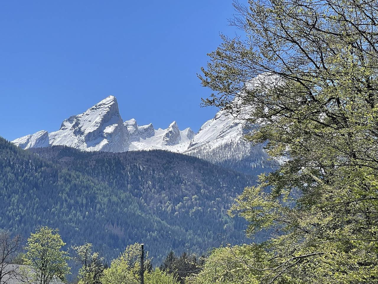 Ganze Ferienwohnung, Ferienwohnung Waldwinkel - Ferienwohnung Waldwinkel für 1-4 Personen 84 qm in Bischofswiesen, Berchtesgadener Alpen