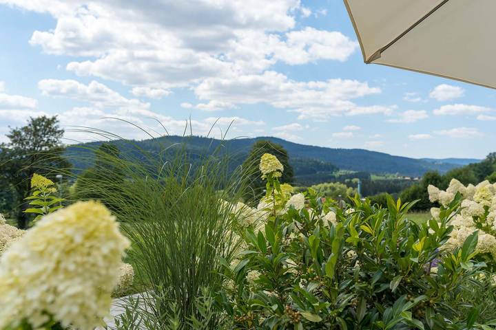 Ferienhaus für 2 Personen, mit Terrasse und Garten in Bodenmais - 4