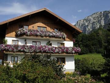 Ferienwohnung für 3 Personen, mit Balkon und Seeblick sowie Garten in Steinbach am Attersee