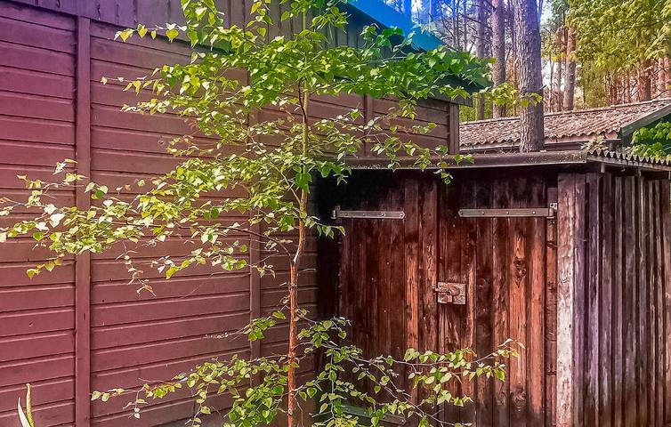 Ferienhaus für 4 Personen, mit Terrasse und Sauna, mit Haustier an der Müritz - 2