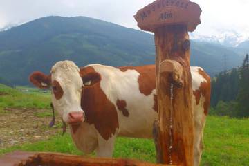 Ferienhaus für 4 Personen in Gerlos, Zillertal, Bild 4