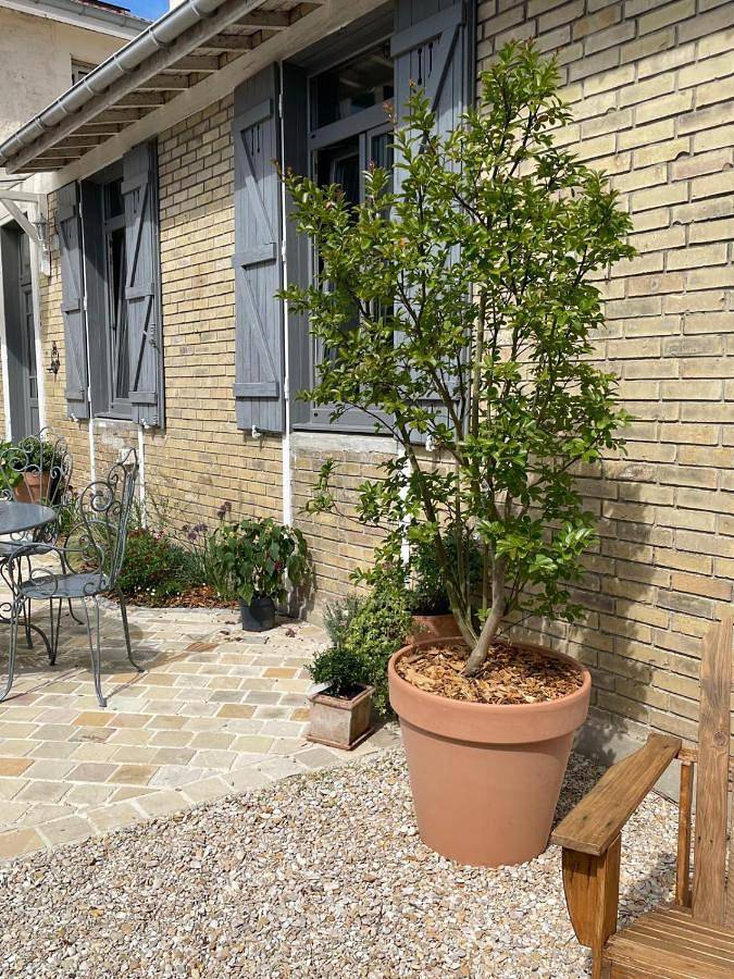 Gîte pour 7 personnes, avec terrasse dans Witry-lès-Reims - 2
