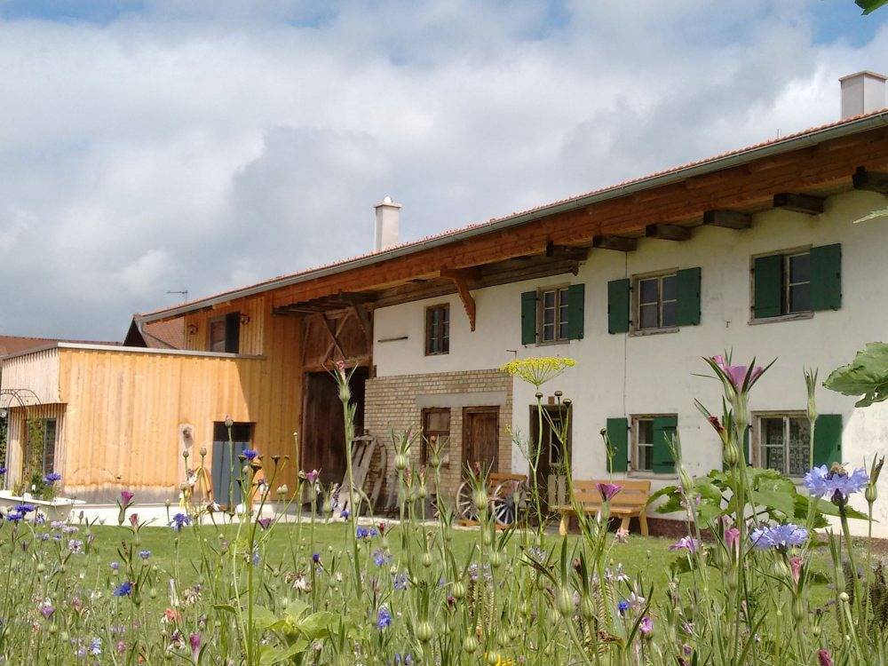 Landhaus Knestel Scheunenglück - Gipfelblick im Og mit Dachterrasse in Lengenwang, Bayerisch Schwaben
