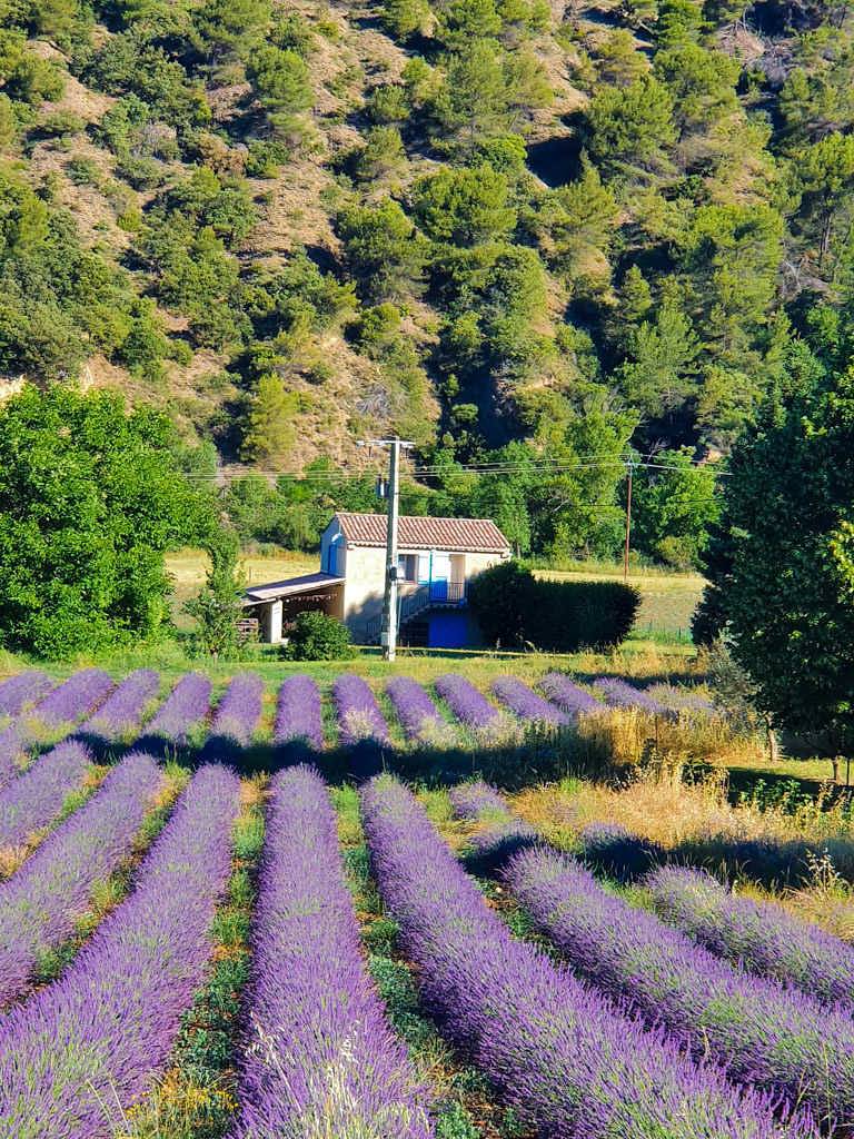 Le Petit Paradis in Oraison, Alpes-de-Haute-Provence