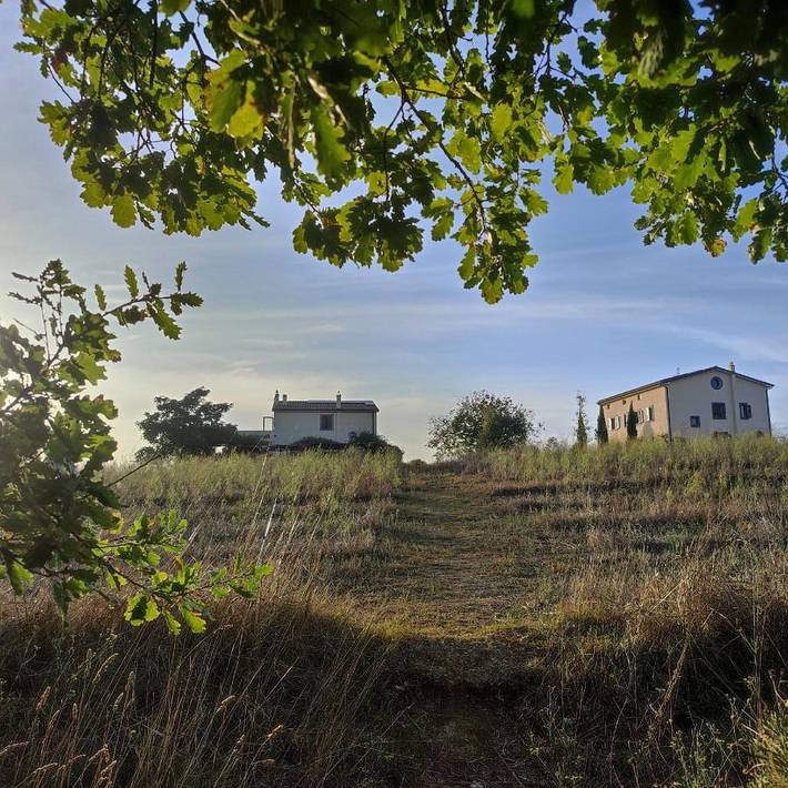 Gîte pour 4 personnes, avec jardin et vue à Tuscania - 3