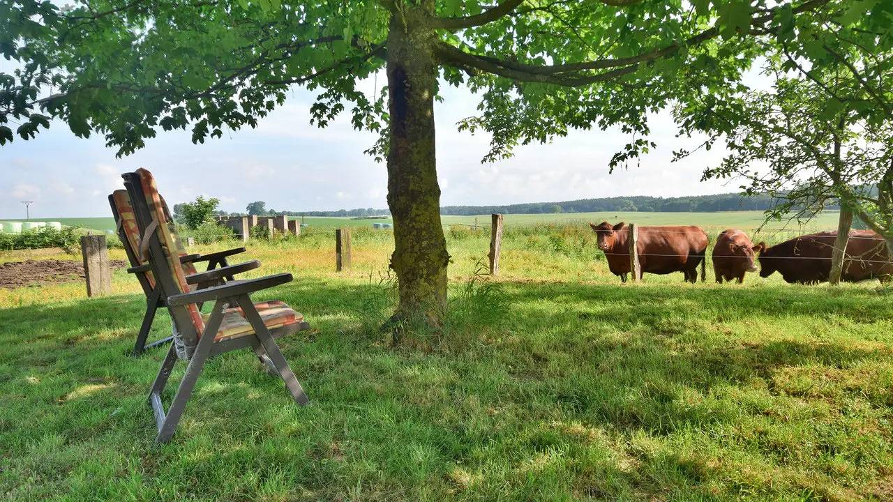 Ganze Ferienwohnung, Ferienwohnung für 2 Personen (60 m²) in Bad Kleinen in Bad Kleinen, Nordwestmecklenburg (Wismar und Umgebung)