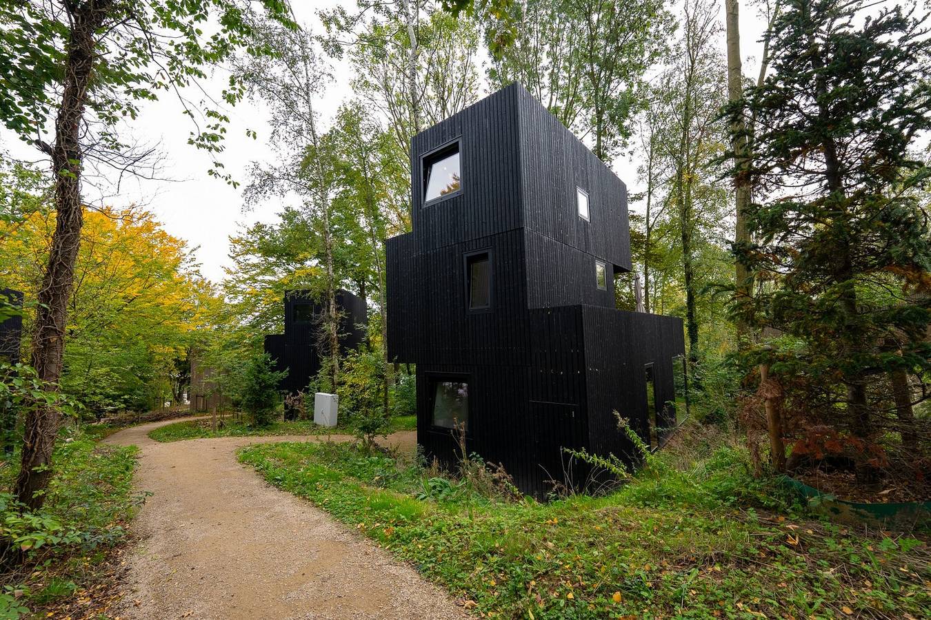 Gulpen — Treehouse 6 in Gulpen, Limburg (Niederlande)