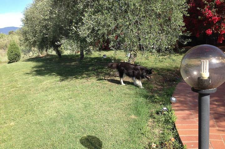 Casa  Santina    Casa posizionata in un grande giardino mediterraneo in Girasole, Provincia di Ogliastra