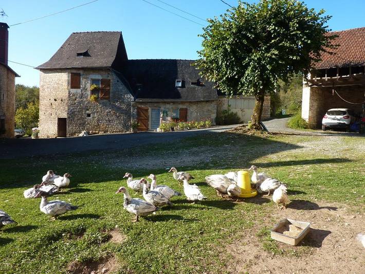 Location gîte pour 6 personnes