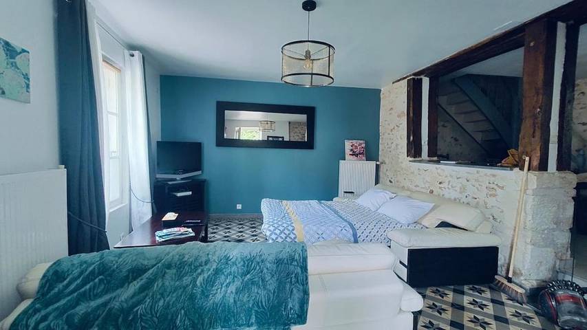 Location de vacances pour 8 personnes, avec jardin, animaux acceptés à Montbazon - 2