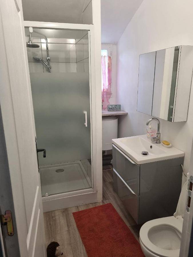Location de vacances pour 2 personnes, avec terrasse ainsi que vue et jardin à Damvix - 3