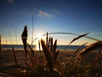 Ferieudlejning til 12 Personer i Rødhus, Vesterhavet, Billede 1