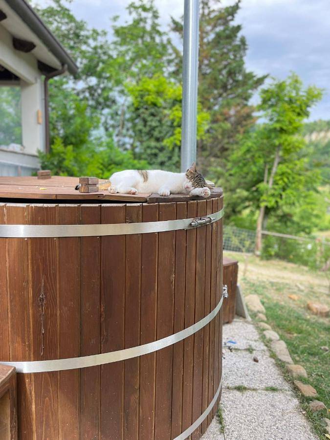 Bed and breakfast per 3 persone, con giardino e idromassaggio nonché piscina - 1