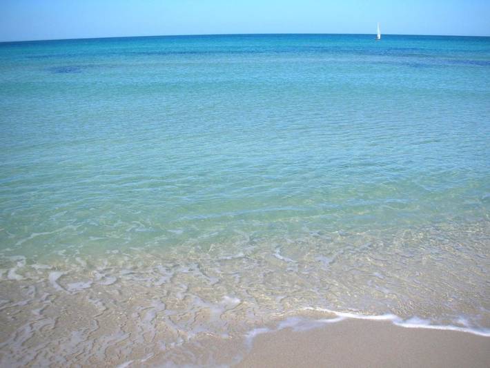 Gîte pour 4 personnes, avec jardin, animaux acceptés à Torre Chianca - 3