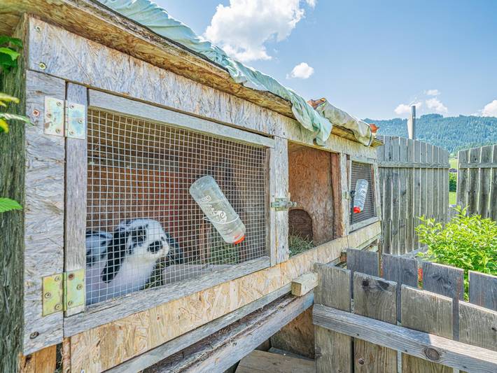 Ferienwohnung für 4 Personen, mit Garten und Terrasse im Brixental - 3