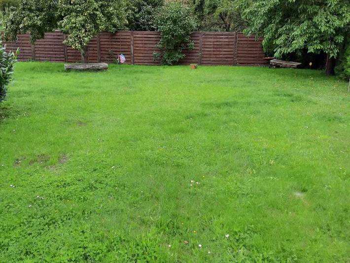 Ferienhaus für 5 Personen, mit Terrasse und Garten sowie Pool, kinderfreundlich in Mecklenburg-Vorpommern - 4