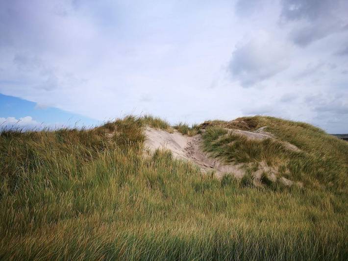 Ferienhaus für 4 Personen, mit Terrasse, mit Haustier in Nørlev Strand - 4