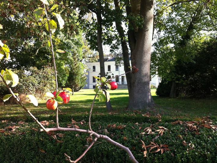 Ferienwohnung für 4 Personen, mit Garten in Neubukow-Salzhaff - 4