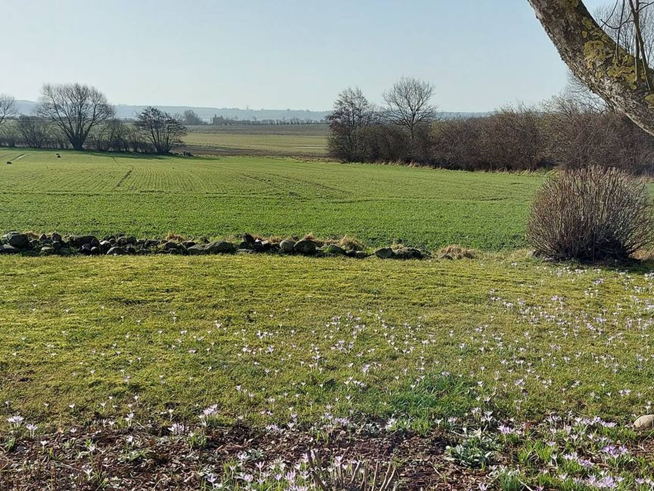 Schlei-Rose - Ferienhaus "Schlei-Rose" in Schaalby in Schaalby, Schleswig & Umgebung
